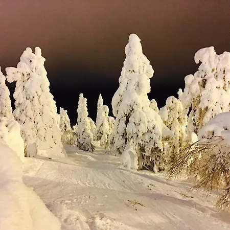 Saaruanaho F1 93 M2 * Ruka