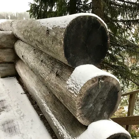 Saaruanaho F1 93 M2 Рука