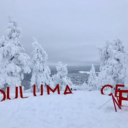 Saaruanaho F1 93 M2 *