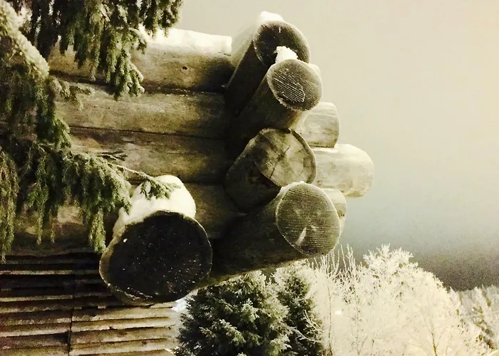 Saaruanaho F1 93 M2 Appartamento