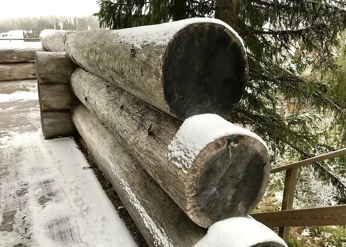 Saaruanaho F1 93 M2 Ruka